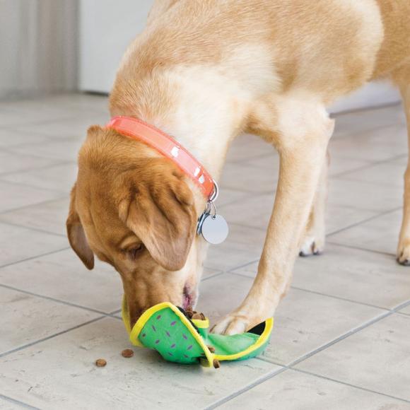 KONG Ballistic Hide'n Treat til hunde