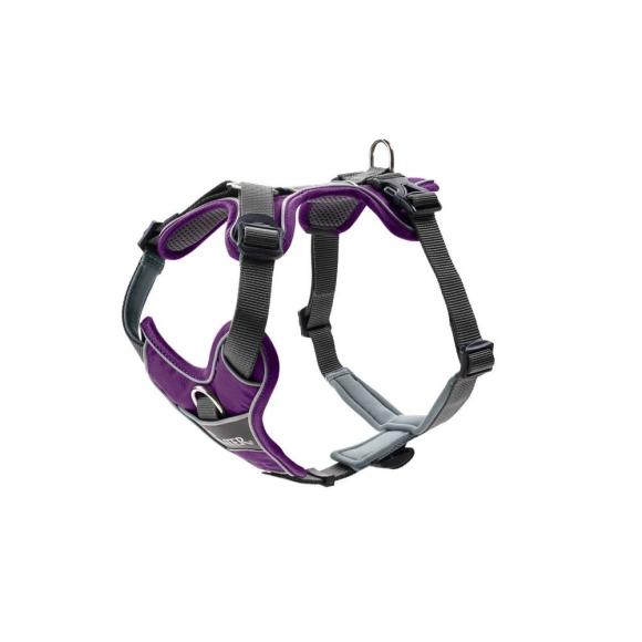 HUNTER DIVO Sele, Violet/Grå