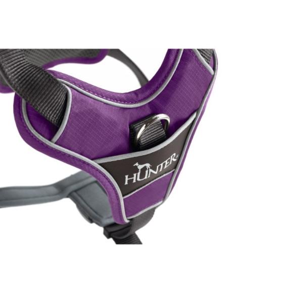 HUNTER DIVO Sele, Violet/Grå