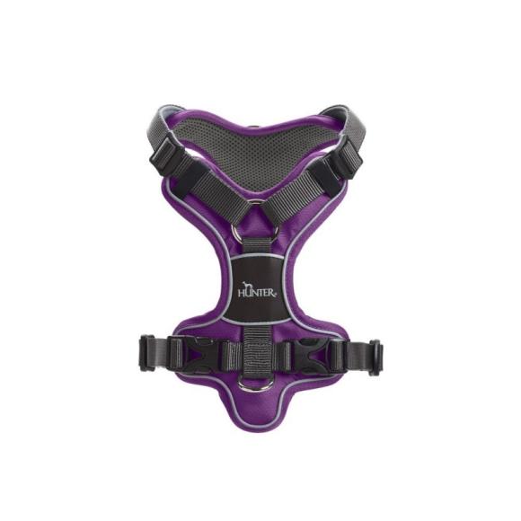 HUNTER DIVO Sele, Violet/Grå