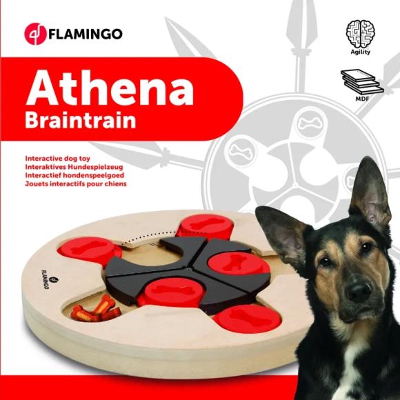 Wooden Brain Athena - Aktivitetsspil til hunde