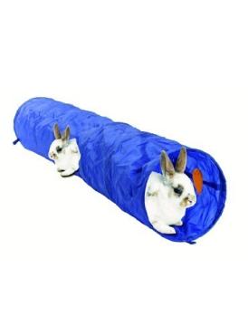 Rabbit Tunnel Roadster
