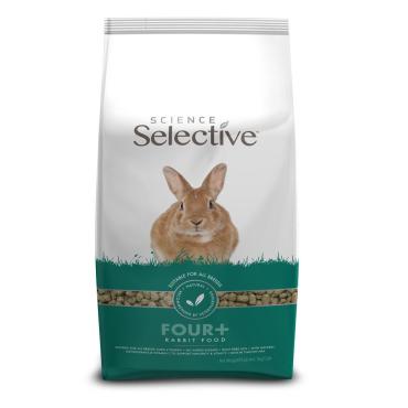 Science Selective 4+ 
