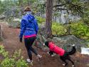 Ruffwear Aira Regnfrakke, Rød