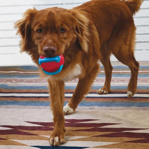 KONG Jaxx Brights bold med reb