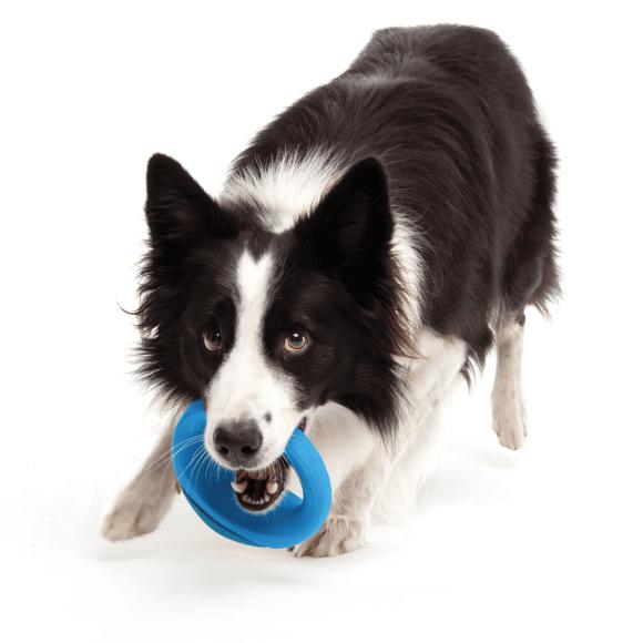 Rogz Pop-Upz fetch toy, Blå