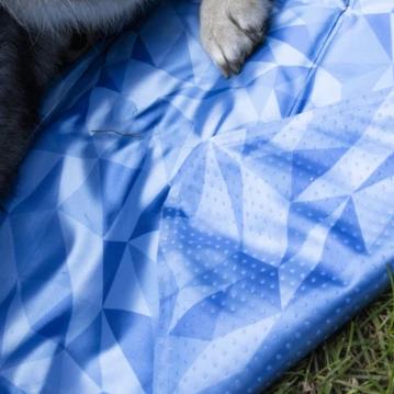 Coolpets Premium kølemåtte til hunde