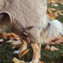 Tørredragt til hunde Siccaro Solution