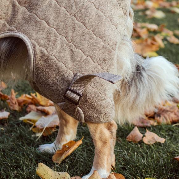 Tørredragt til hunde Siccaro Solution