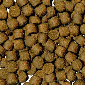 ALL PUPPIES Hvalpefoder 3 kg