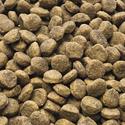 ALL DOGS - Grain-free hundefoder 9 kg