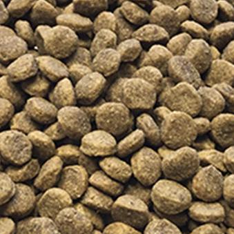ALL DOGS - Grain-free hundefoder 9 kg