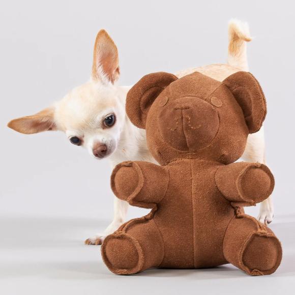 Paikka Teddy Toy