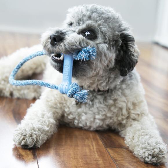 KONG Puppy Goodie Bone w/rope
