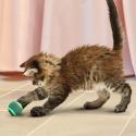 KONG Cat Tennis Balls w/Bells (3 stk)