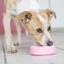 KONG Puppy Tires, small
