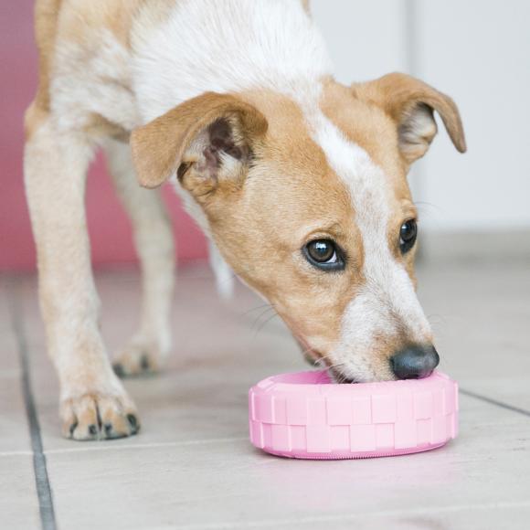 KONG Puppy Tires, small