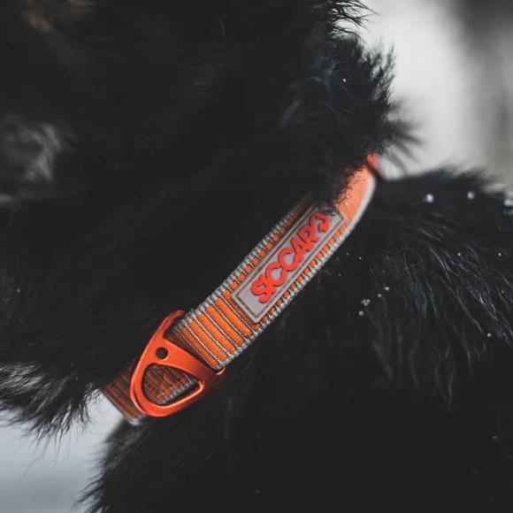 Siccaro, Sealines dog collars
