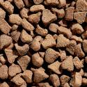 AKTIV Fuldfoder Kat 15 kg