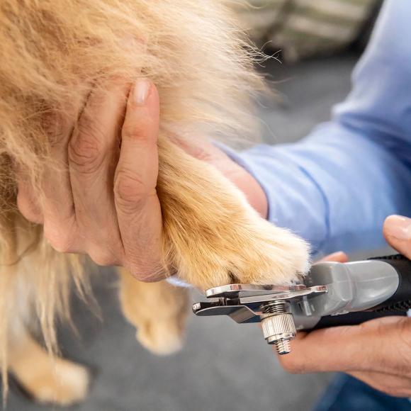 FURminator Negleklipper