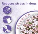Beaphar No Stress Calming - Diffuser Startsæt til hund