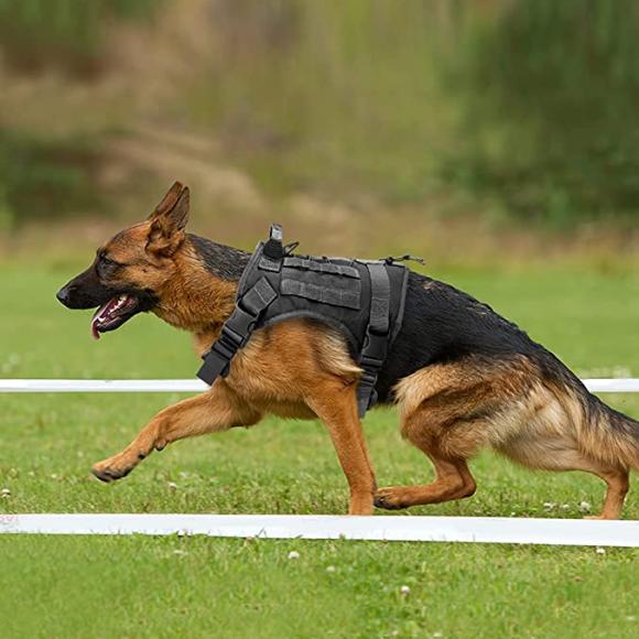 Kraftig hundesele - Large