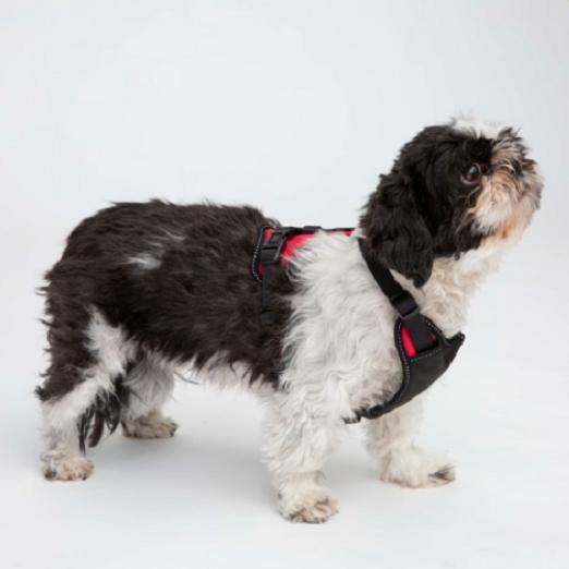 Y-sele til hunde - Sort/rød - Large