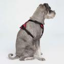 Y-sele til hunde - Sort/rød - Large