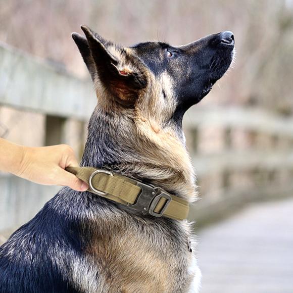Kraftigt halsbånd til større hunde - Sandfarvet