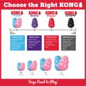 KONG Puppy - specielt til hvalpe