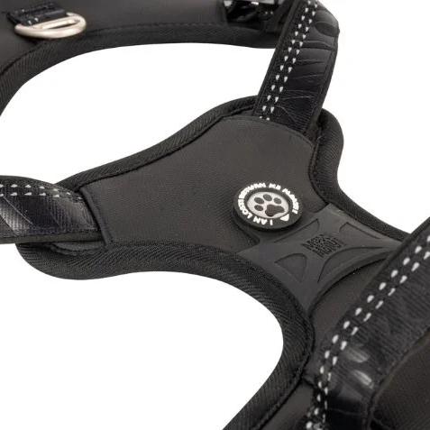 Max & Molly 2.0 Neopren Sport Sele, Sort