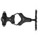 Max & Molly 2.0 Neopren Sport Sele, Sort