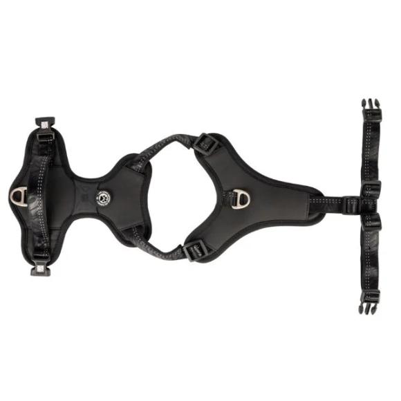 Max & Molly 2.0 Neopren Sport Sele, Sort