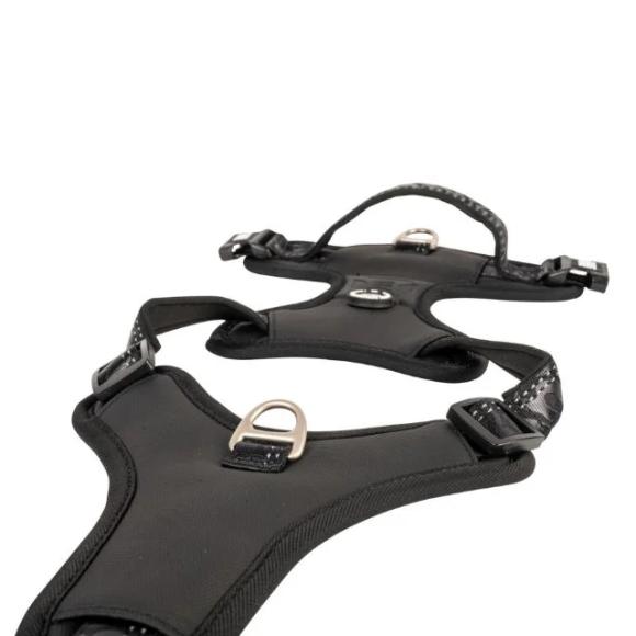 Max & Molly 2.0 Neopren Sport Sele, Sort