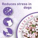 Beaphar Calming diffuser til hunde refill 30 ml
