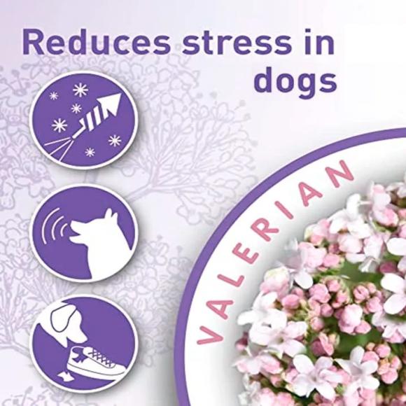 Beaphar Calming diffuser til hunde refill 30 ml