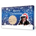 Julekalender til hund - Premium Mini Treats