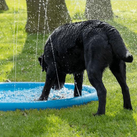 Pool med Sprinkler - CoolPets