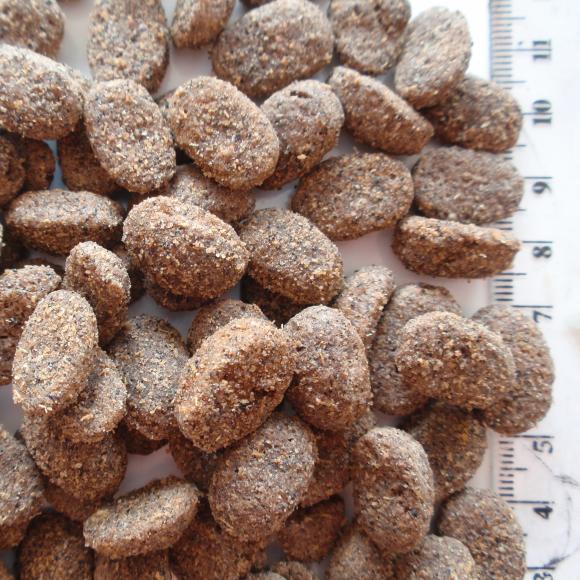 Kronch Basic - Hundefoder