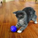 Godbidsbold til katte - KONG Cat Treat Ball