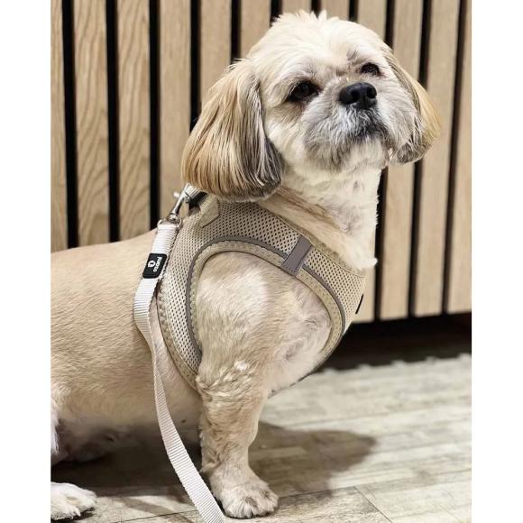 Hundesele – Sort/beige (XXXS- XL) Hundesele – Sort/beige (XXXS- XL)