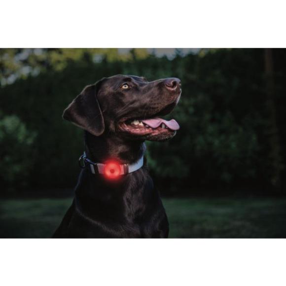 Genopladelig LED lygte - COAST