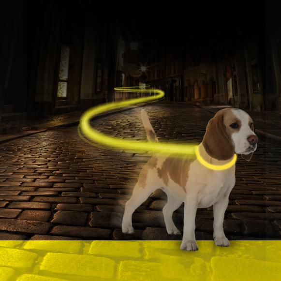 Lysende hundeline og halsbånd– Neongul