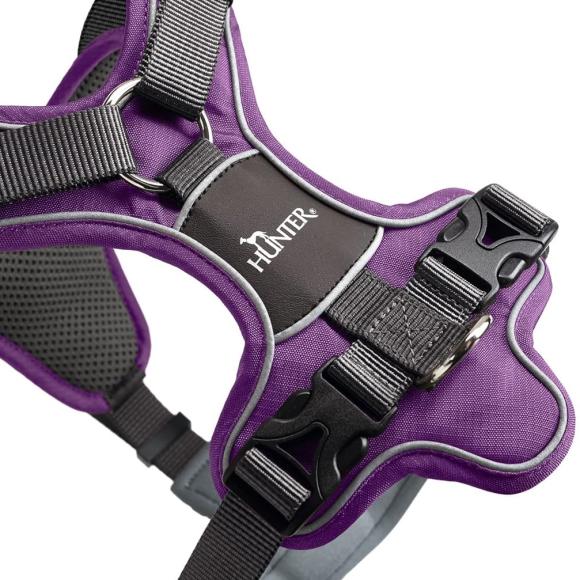 HUNTER DIVO Sele, Violet/Grå