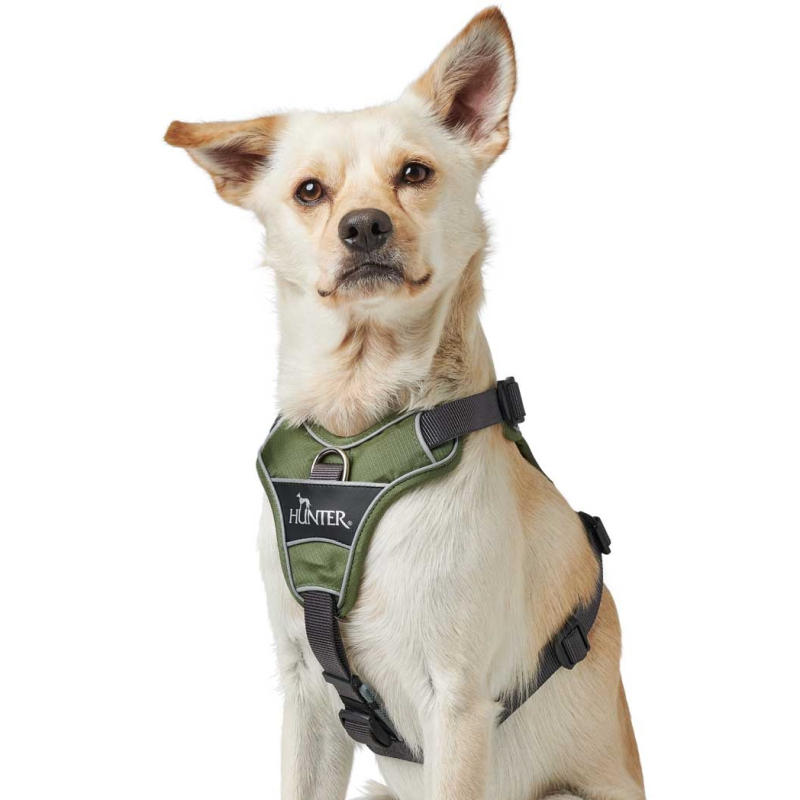 HUNTER DIVO Sele, Grøn/Grå