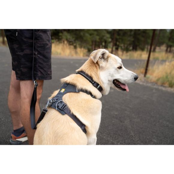 Front Range Harness - Basalt Gray
