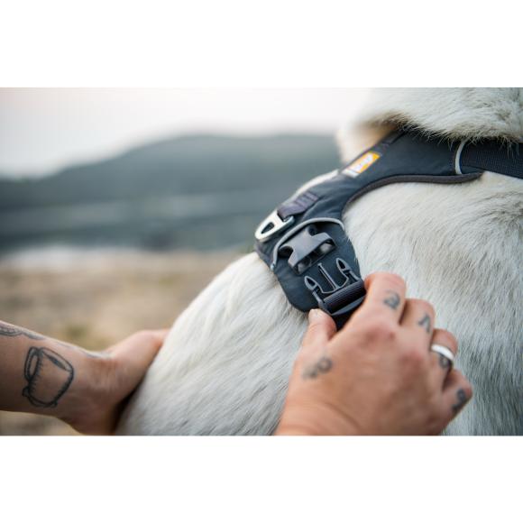 Front Range Harness - Basalt Gray