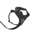 Front Range Harness - Basalt Gray