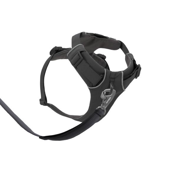 Front Range Harness - Basalt Gray
