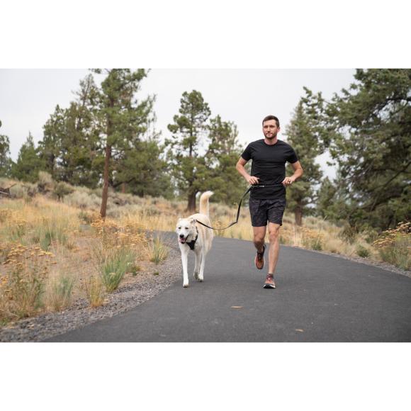 Front Range Harness - Basalt Gray